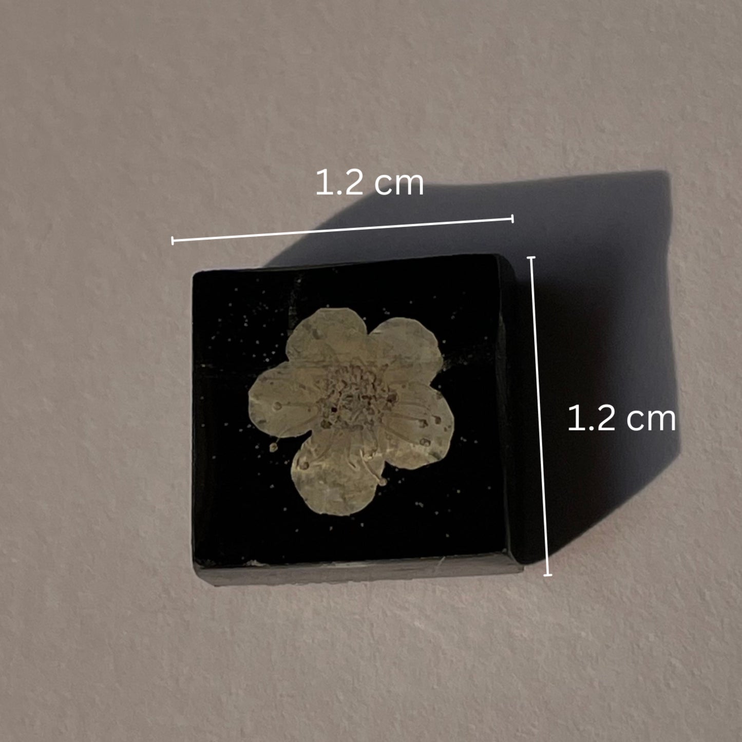 Little Blossom Black square studs