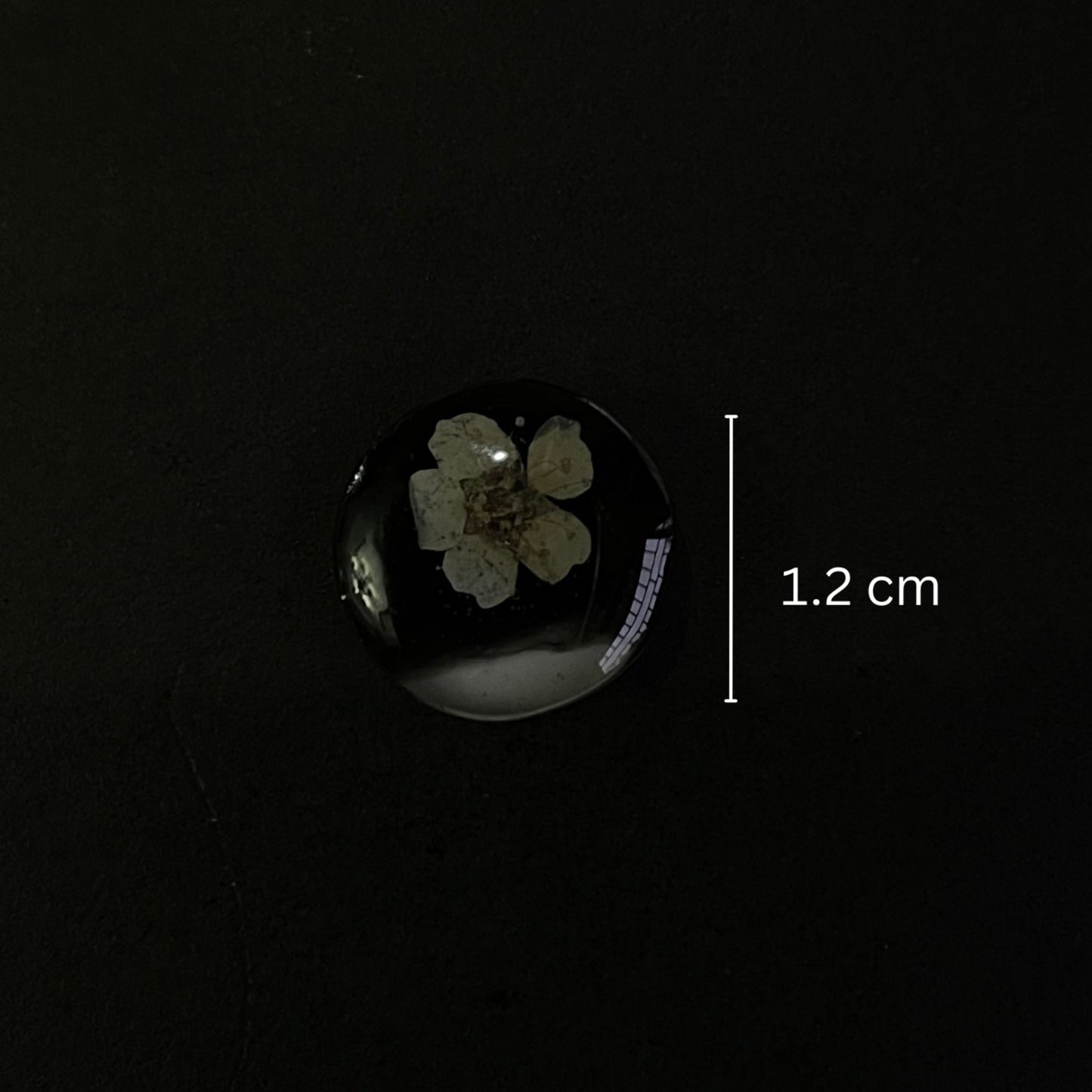 Dual shade floral round studs